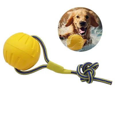 CoolPetGear Jouets en EVA pour chien