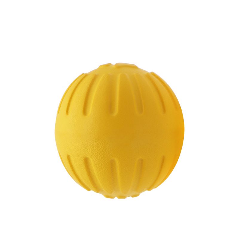 CoolPetGear Jouets en EVA pour chien