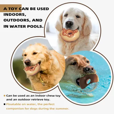 Jouets pour chien - Indestructibles, résistants et interactifs