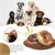 Jouets pour chien - Indestructibles, résistants et interactifs