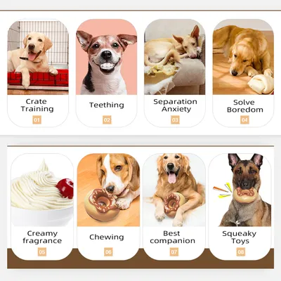 Jouets pour chien - Indestructibles, résistants et interactifs
