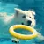 CoolPetGear Jouets en EVA pour chien