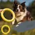 CoolPetGear Jouets en EVA pour chien