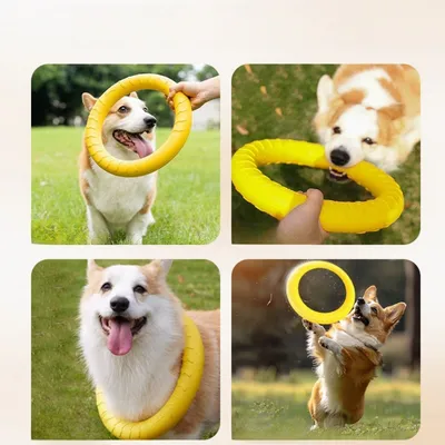 CoolPetGear Jouets en EVA pour chien