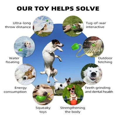 CoolPetGear Jouet de récupération pour chien avec corde