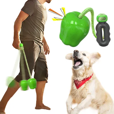 CoolPetGear Jouet de récupération pour chien avec corde