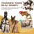 Jouets à mâcher pour chien Indestructibles, résistants