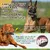 Jouets à mâcher pour chien Indestructibles, résistants