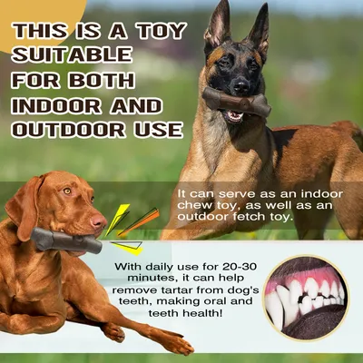 Jouets à mâcher pour chien Indestructibles, résistants