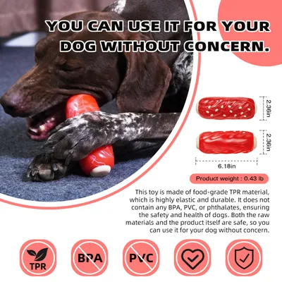 CoolPetGear Jouets pour chien Distributeurs de nourriture interactifs