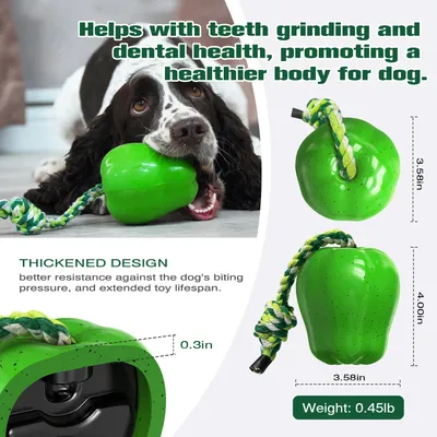 CoolPetGear Jouets pour chien - Indestructibles, en caoutchouc dur