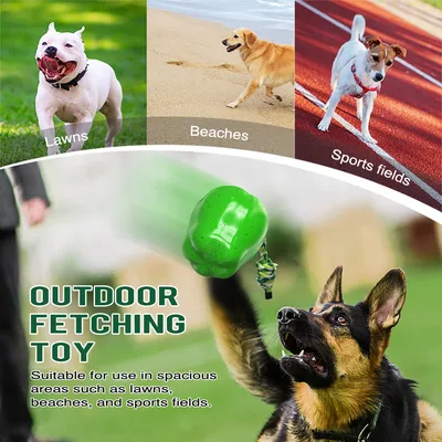 CoolPetGear Jouets pour chien - Indestructibles, en caoutchouc dur