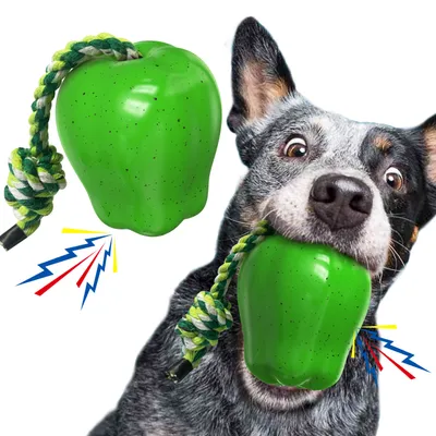 CoolPetGear Jouets pour chien - Indestructibles, en caoutchouc dur