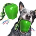CoolPetGear Hundespielzeug – Unzerstörbar, Hartgummi