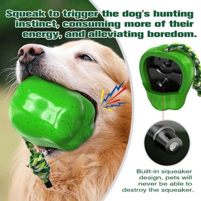 CoolPetGear Jouets pour chien - Indestructibles, en caoutchouc dur
