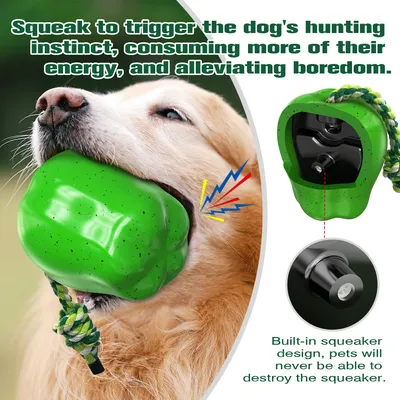 CoolPetGear Jouets pour chien - Indestructibles, en caoutchouc dur