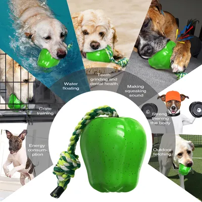 CoolPetGear Jouets pour chien - Indestructibles, en caoutchouc dur