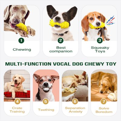 Jouet à mâcher pour chien - Indestructible, grinçant CoolPetGear