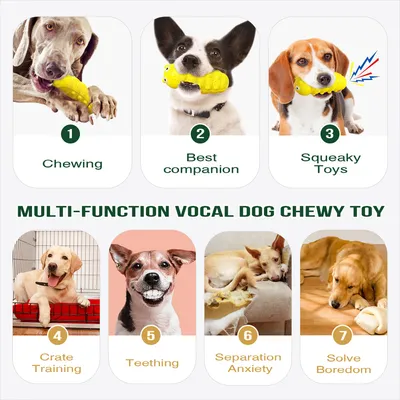 Jouet à mâcher pour chien - Indestructible, grinçant CoolPetGear