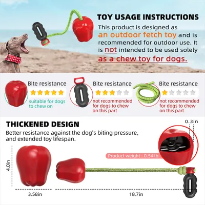 CoolPetGear Jouet de récupération pour chien avec corde