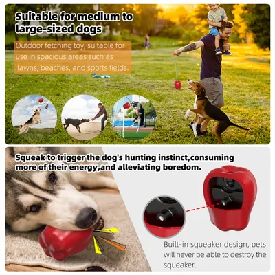 CoolPetGear Jouet de récupération pour chien avec corde