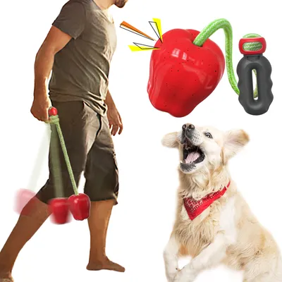 CoolPetGear Jouet de récupération pour chien avec corde