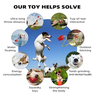 CoolPetGear Jouet de récupération pour chien avec corde