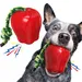 CoolPetGear Hundespielzeug – Unzerstörbar, Hartgummi