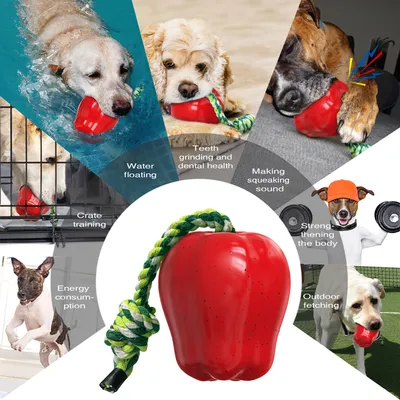 CoolPetGear Jouets pour chien - Indestructibles, en caoutchouc dur