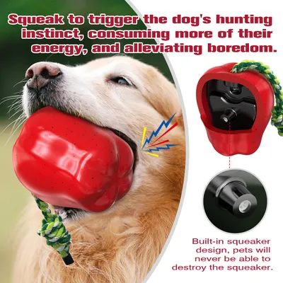 CoolPetGear Jouets pour chien - Indestructibles, en caoutchouc dur