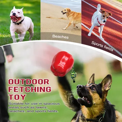 CoolPetGear Jouets pour chien - Indestructibles, en caoutchouc dur