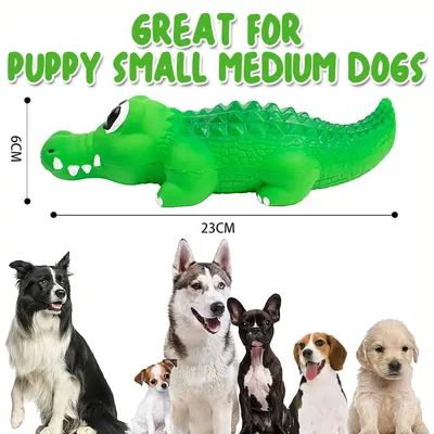 Jouet à mâcher pour chien - En caoutchouc indestructible