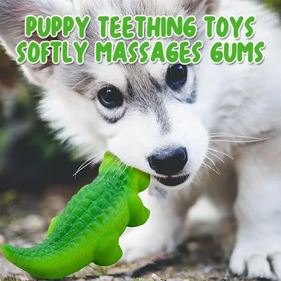 Jouet à mâcher pour chien - En caoutchouc indestructible
