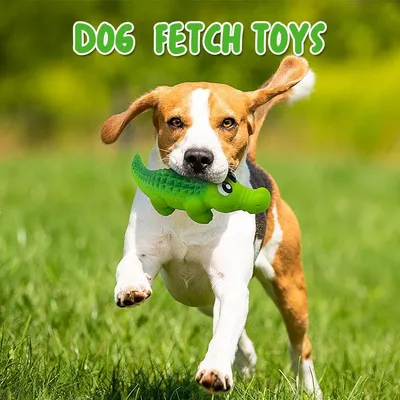 Jouet à mâcher pour chien - En caoutchouc indestructible
