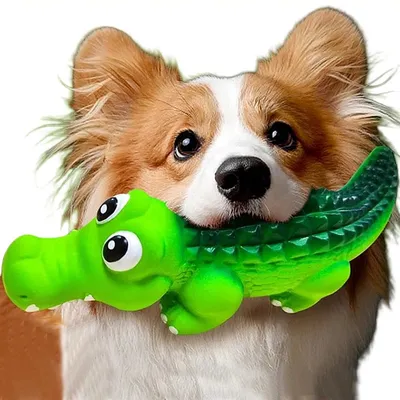 Jouet à mâcher pour chien - En caoutchouc indestructible Jouet à mâcher pour chien - En caoutchouc indestructible