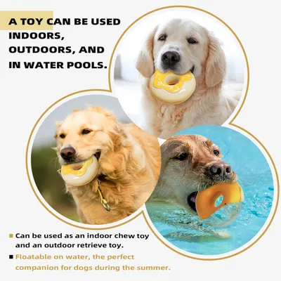 Jouets pour chien - Indestructibles, résistants et interactifs