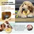 Jouets pour chien - Indestructibles, résistants et interactifs