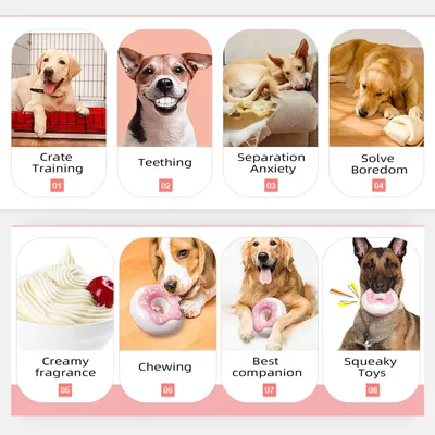 Jouets pour chien - Indestructibles, résistants et interactifs
