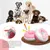Jouets pour chien - Indestructibles, résistants et interactifs