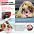 Jouets pour chien - Indestructibles, résistants et interactifs