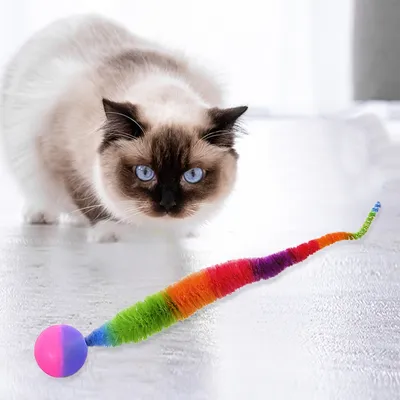 CoolPetGear Jouet pour chat insecte avec balle 4 pièces