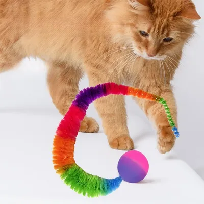 CoolPetGear Jouet pour chat insecte avec balle 4 pièces
