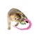 CoolPetGear Jouet pour chat insecte avec balle 4 pièces
