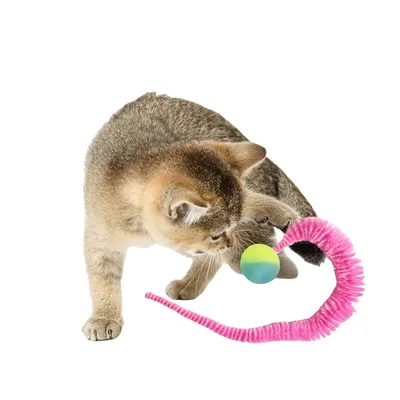 CoolPetGear Jouet pour chat insecte avec balle 4 pièces
