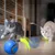 CoolPetGear Jouet pour chat balle électrique