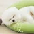CoolPetGear Kühlender Hundekorb