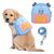 Harnais pour chien avec sac à dos - Bleu