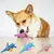 CoolPetGear Hundespielzeug – Plüsch, interaktiv
