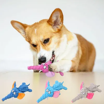 CoolPetGear Hundespielzeug – Plüsch, interaktiv