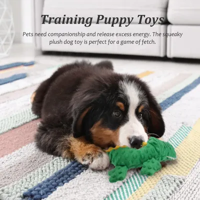 CoolPetGear Plüsch- und Quietschspielzeug für Hunde